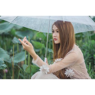  Ô TRONG SUỐT ĐI MƯA
