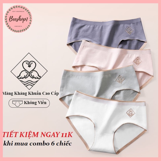 Quần lót nữ, quần lót cotton, quần chip nữ cotton kháng khuẩn QC72 | BigBuy360 - bigbuy360.vn