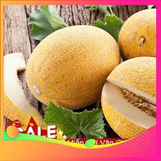 Hạt giống dưa lưới vàng f1 - 10 hạt vietgar
