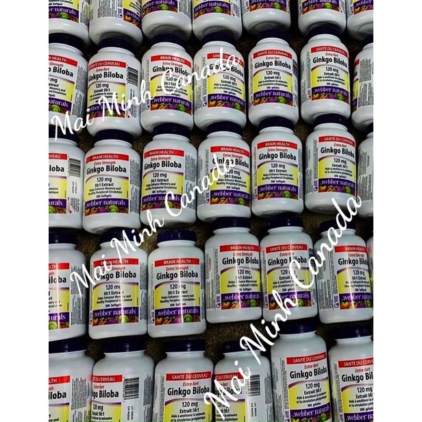 Viên uống bổ não Ginkgo Biloba 120mg Webber Naturals Date 3/2027