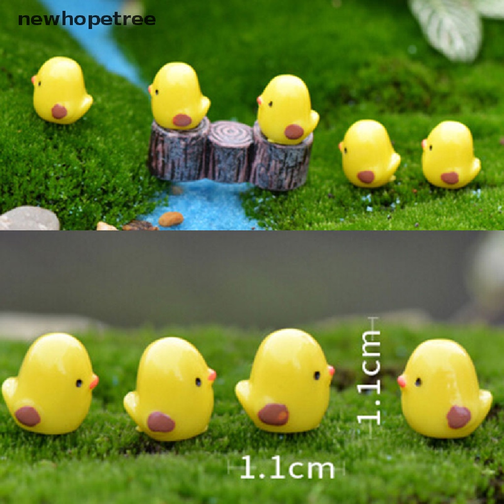Set 5 chú gà con màu vàng mini vui nhộn dùng trang trí tiểu cảnh