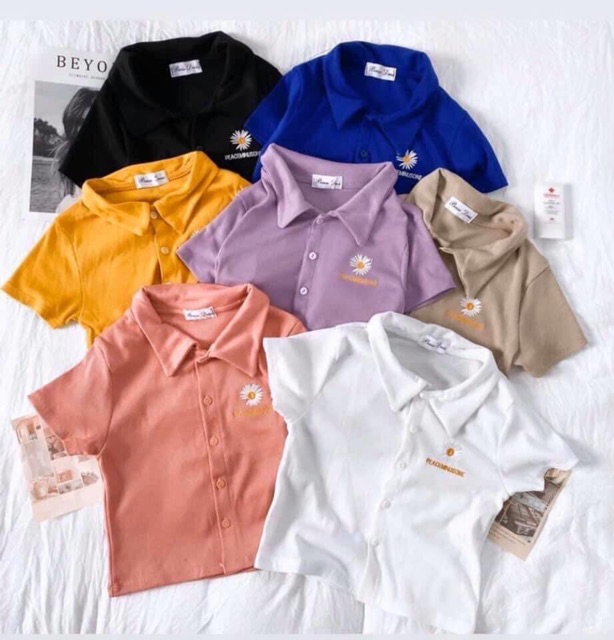 [Freeship đơn từ 0đ] [freeship-hình tự chụp- sẵn] Áo croptop thêu hoa cúc ngực_P89