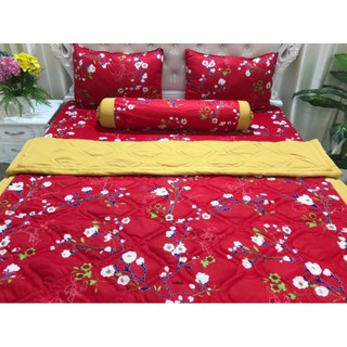 Bộ mền thun hàn quốc m6 (không phối,2 mặt như nhau)