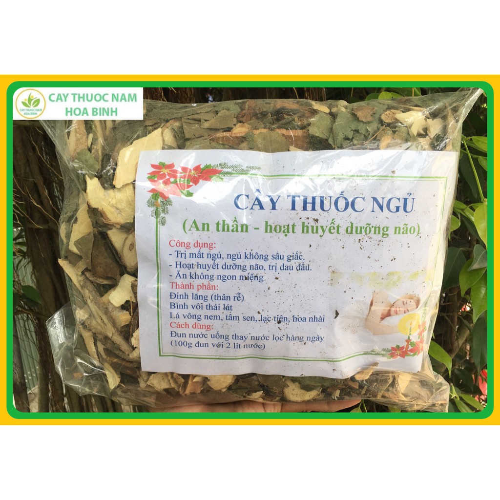 1kg CÂY THUỐC NGỦ an thần giấc ngủ ngon ngủ sâu