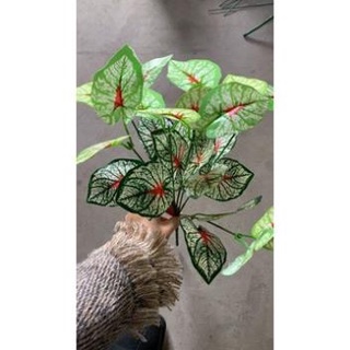 Lá giả - cụm lá đốm ( để Free ship CHAT ngay với người bán)