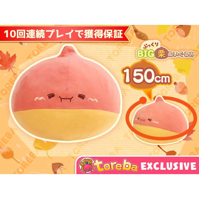 Gối bông siêu to khổng lồ Hạt dẻ đáng yêu kuri nuigurumi gắp Toreba chính hãng Nhật Bản
