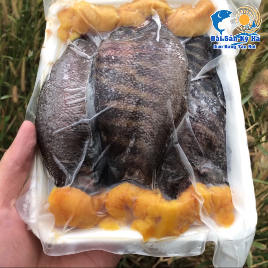 [HCM] Giá Sỉ 1Kg Cá Sặc Trứng 1 Nắng | BigBuy360 - bigbuy360.vn