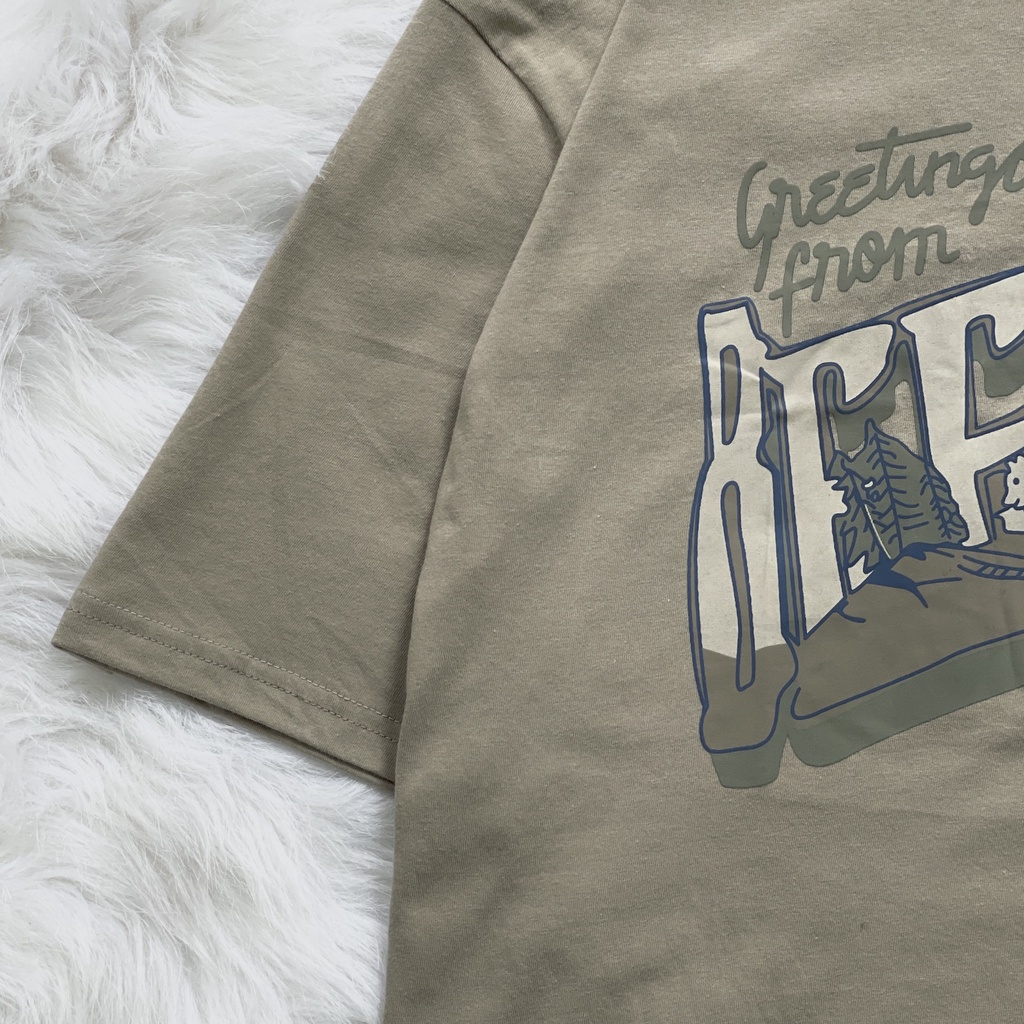 Áo thun tay lỡ in GẤU BEERBRO form rộng unisex nam nữ