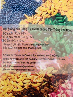 Hạt giống bí ngồi xanh