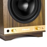 Loa Bluetooth Klipsch The Sixes