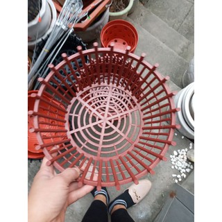 5 cái chậu trồng lan mầu nâu đất đẹp phi 27cm x13cm