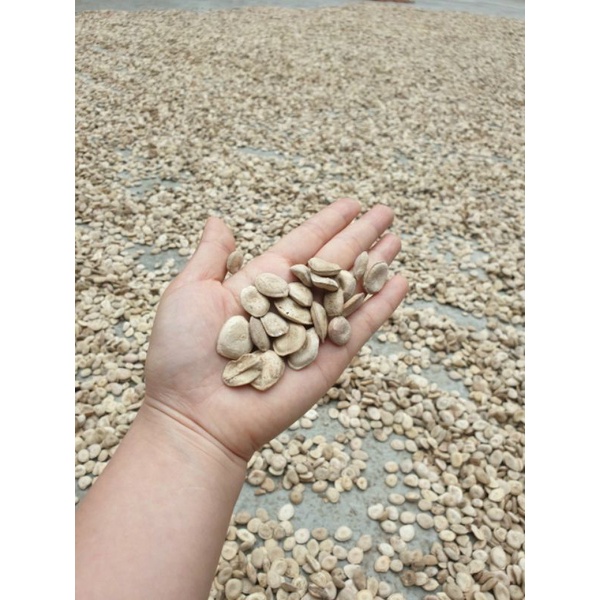 Hạt Mã Tiền nhung - 100g Hàng mới, khô, sạch