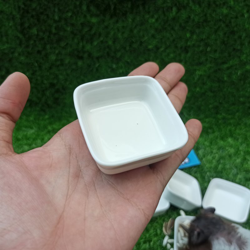 Chén ăn hamster sứ [giá rẻ] 💥Free Ship💥