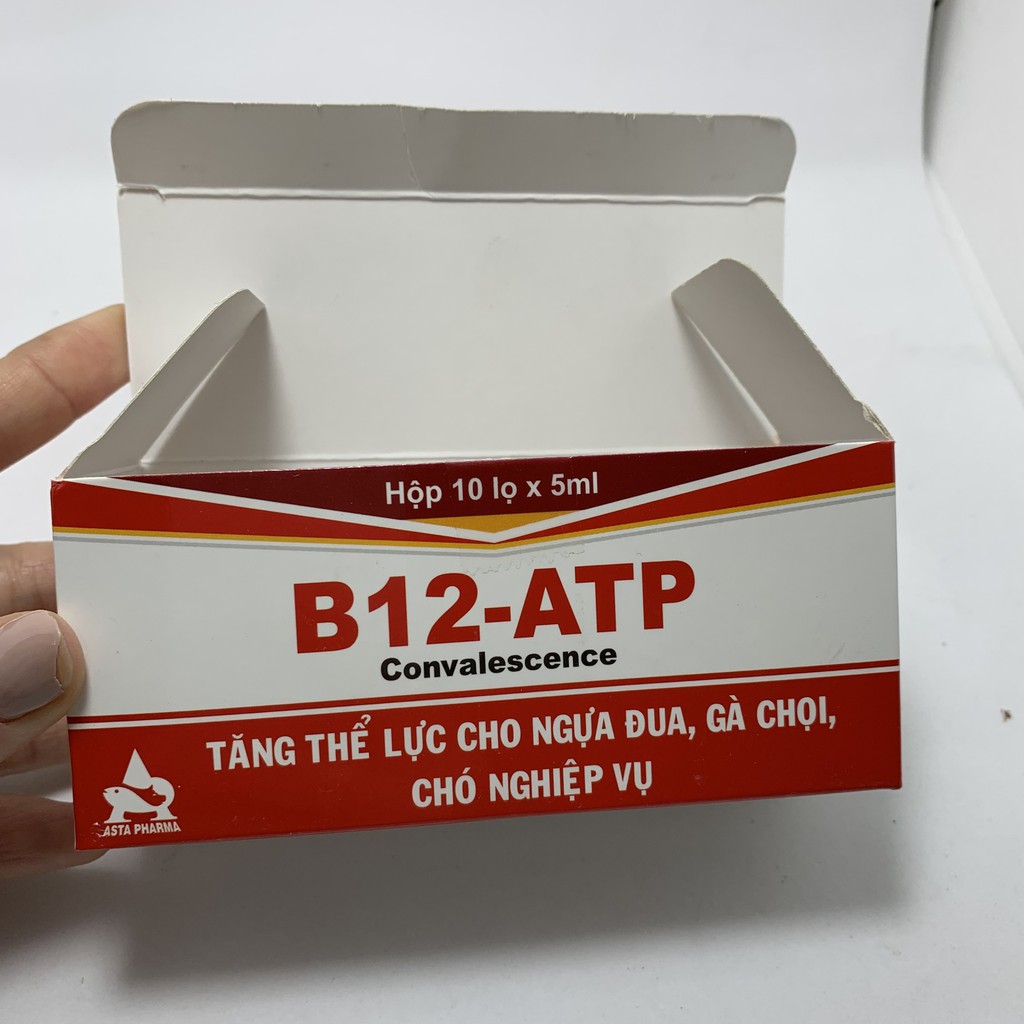 Combo 10 lọ Thuốc tăng B12 ATP