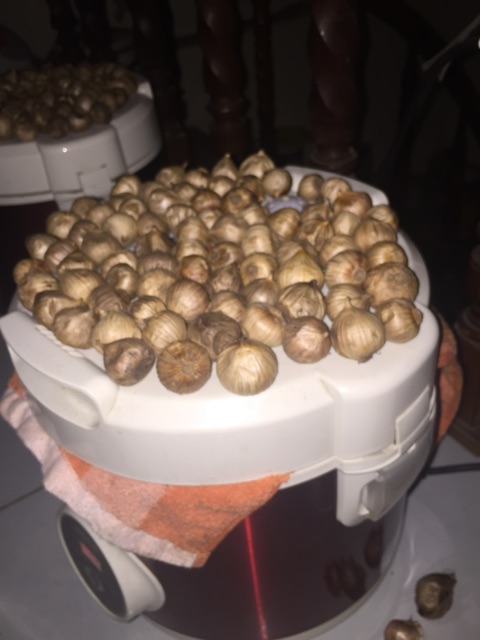 250 gram Tỏi đen cô đơn! Tỏi đen 1 nhánh | BigBuy360 - bigbuy360.vn