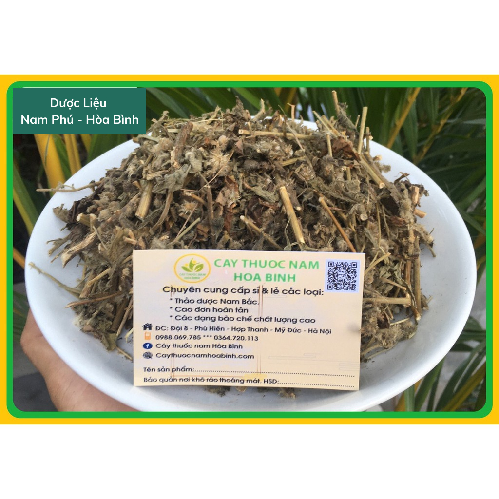 1Kg Cây Cải Trời giá SỈ giảm bướu cổ hàng tự nhiên xanh sạch mới