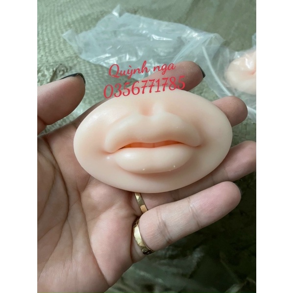 Môi 5D silicon tập phun xăm cho người mới