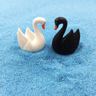 Đôi thiên nga đen - trắng