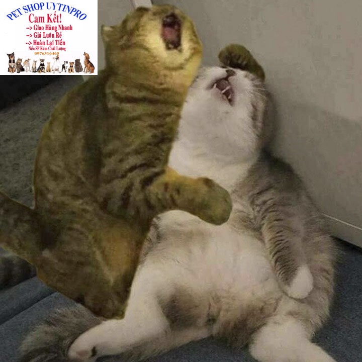 Ống cỏ Cat Mint cho Mèo Ống 10g Giúp thú cưng thư giãn, Xả stress, Bổ sung vitamin,Cân bằng dinh dưỡng, Tốt cho tiêu hóa