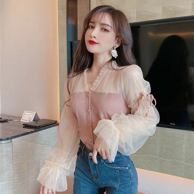 Women's Mesh Gauze Slim Puff Sleeve Long Sleeve Shirt | BigBuy360 - bigbuy360.vn