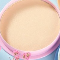 Phấn nền trang điểm Tỳ Hươu kèm bông nội địa chính hãng sỉ tốt- GIÁ RẺ 09 | BigBuy360 - bigbuy360.vn