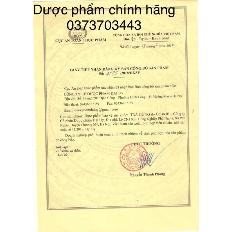 TRÀ GỪNG - làm ấm bụng, giảm đầy hơi, khó tiêu, buồn nôn