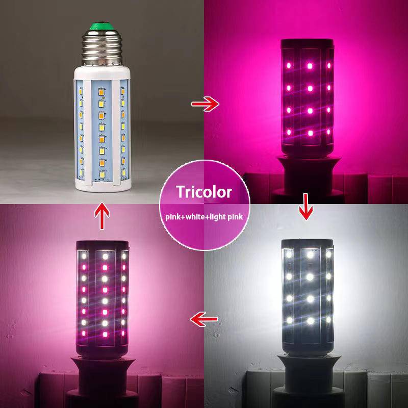 Bóng Đèn LED Bắp Ngô E27 12W 7 Màu AC 220V Trang Trí Đa Dụng