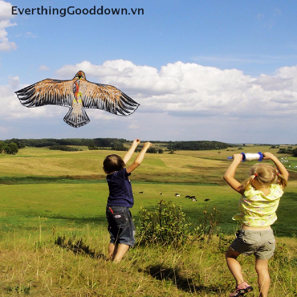 Diều Hình Chim Đại Bàng 1.1m Dây Dài 30M