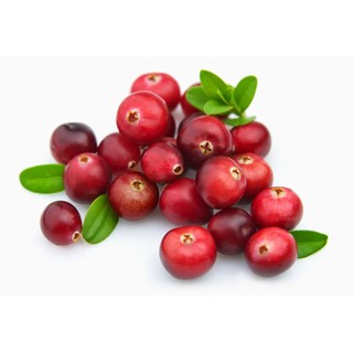 Hạt Giống Việt Quất Đỏ - 30 hạt