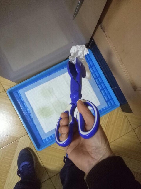 Kéo gắp phân cún mèo