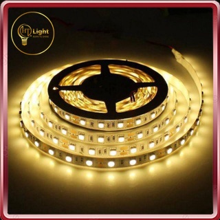 Đèn led dán 5050 cuộn 5m điện 12v ánh sáng trắng - vàng - nhiều màu chuyên trang trí tủ bếp, bể cá,decor phòng