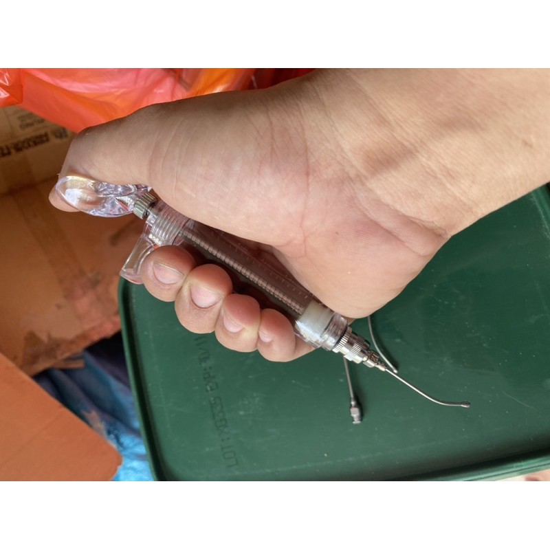 Ống đút cho vẹt con