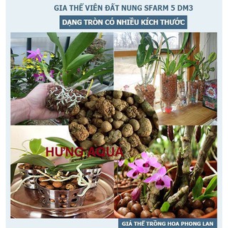 Sỏi đất nung SFARM sỏi nhẹ trồng cây cảnh, trồng hoa lan, rau mầm, thủy canh 500g /1kg (hàng Việt Nam)