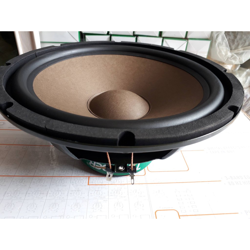 Cặp loa bass rời 25cm siêu trầm liên doanh USA