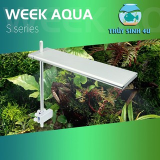 Week S Pro - đèn thủy sinh cho bể mini, nano để bàn