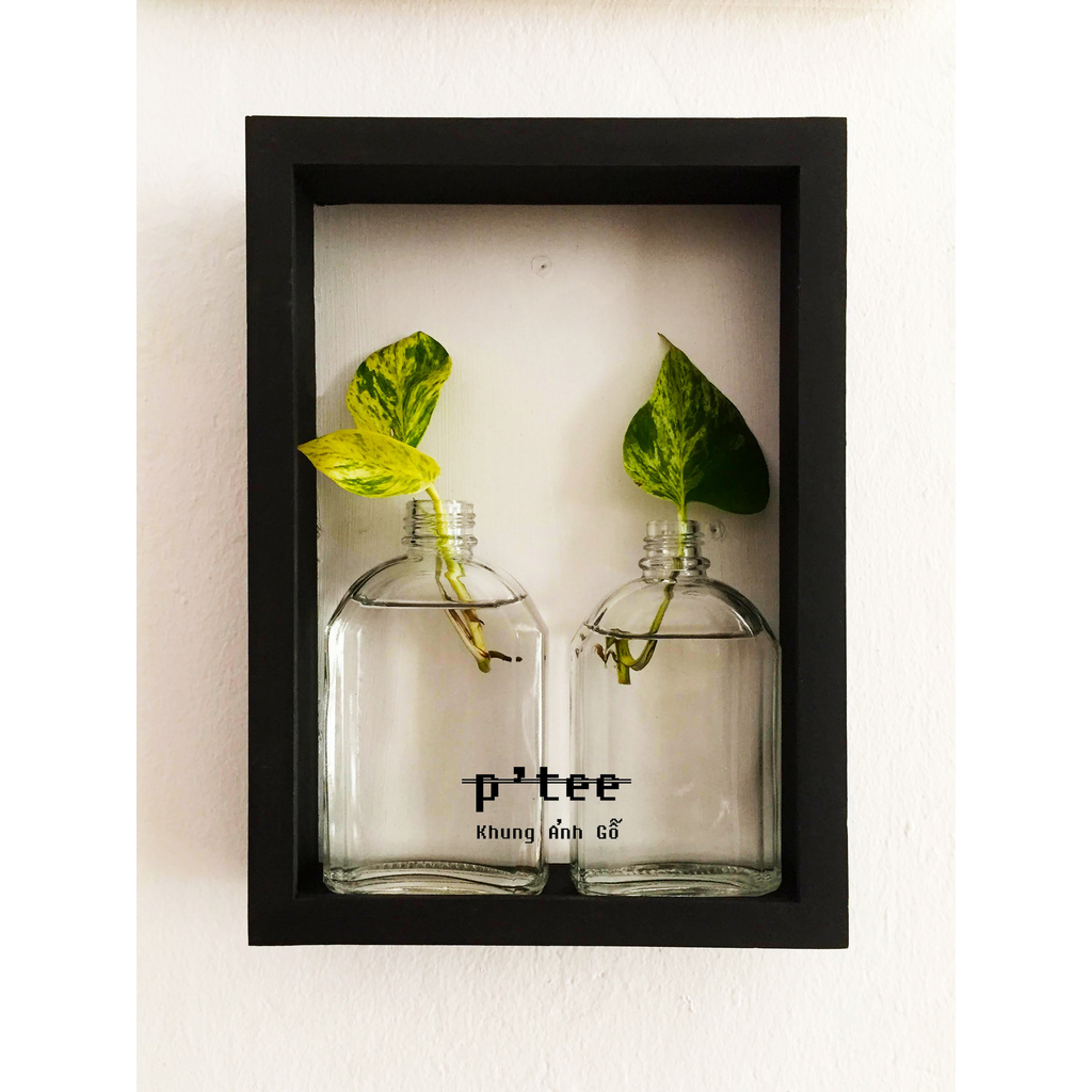 Khung ảnh hộp 18x26 B2 Dày 6cm - Khung hình gỗ thông mặt kính trang trí 3D tiêu bản mô hình handmade Woodframe By P'Tee