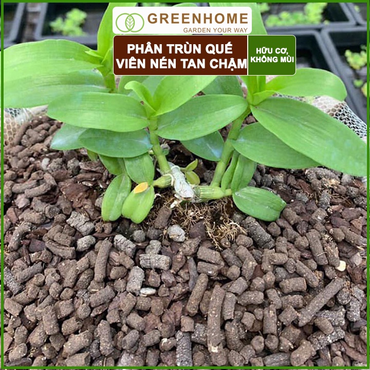 Bộ 2 Phân Trùn quế viên nén Sfarm, bao 1kg, nguyên chất, chuyên bón hoa Lan, cây cảnh, bonsai |Greenhome