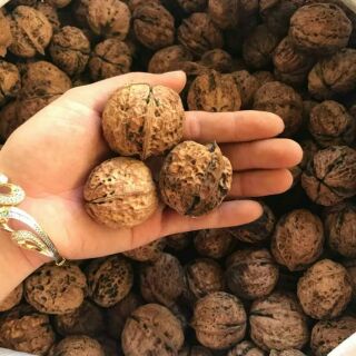 1 kg quả óc chó nếp (quả óc chó sa pa)