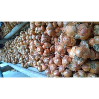 CHUẨN 1kg HÀNH TA (HÀNH KHÔ)(HÀNH KINH MÔN HẢI DƯƠNG)