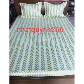 Bộ ga chun EPTK Everon giảm giá.