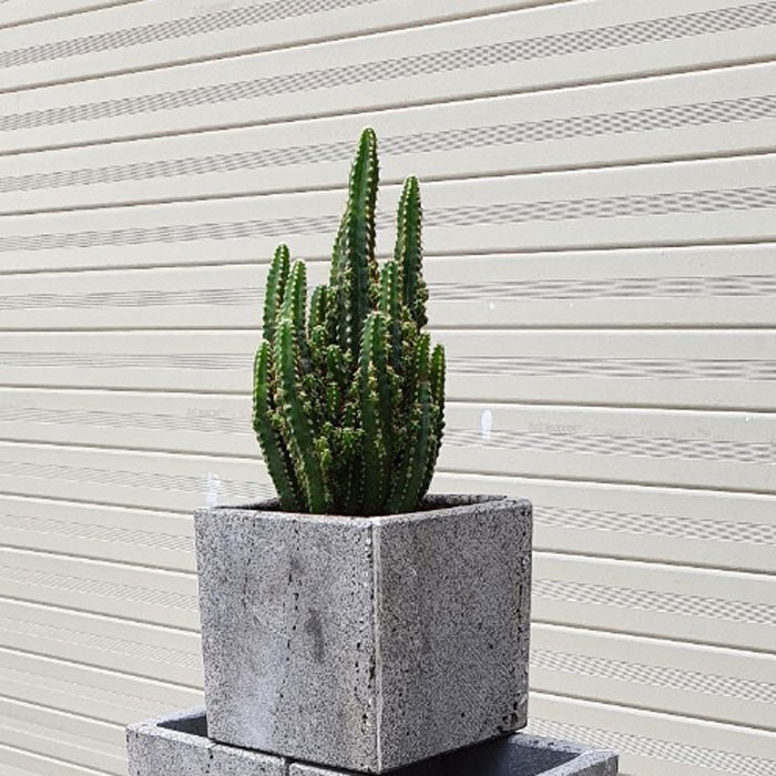 Chậu treo tường trồng cây hình vuông KT 10cm bằng đá tự nhiên, chậu trồng cây mini