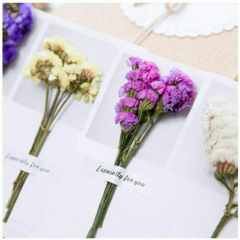 Thiệp hoa khô handmade xinh xắn làm quà tặng