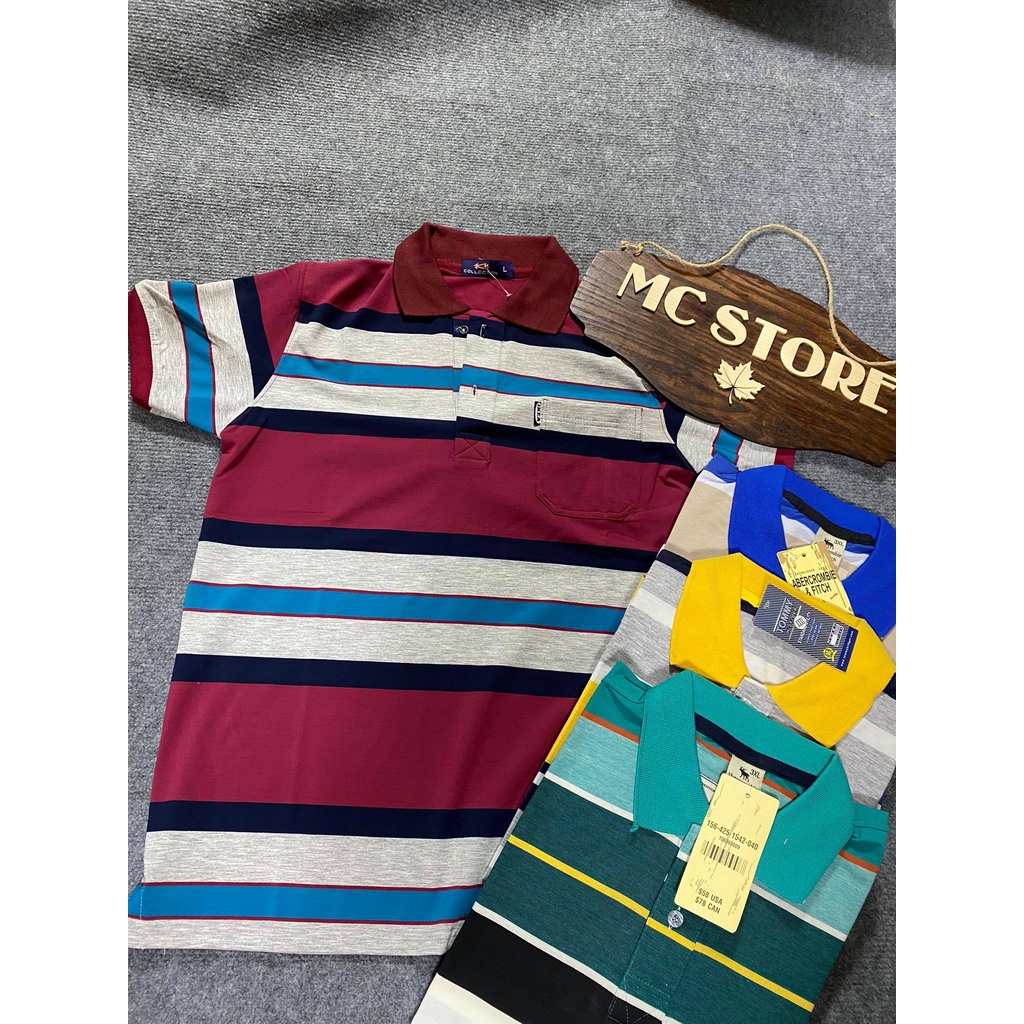 [FreeShip]Áo Thun Polo Thun Cotton Chât Vải Dày Đẹp Logo Cá Sấu Cao Cấp Full Size 45-100kg