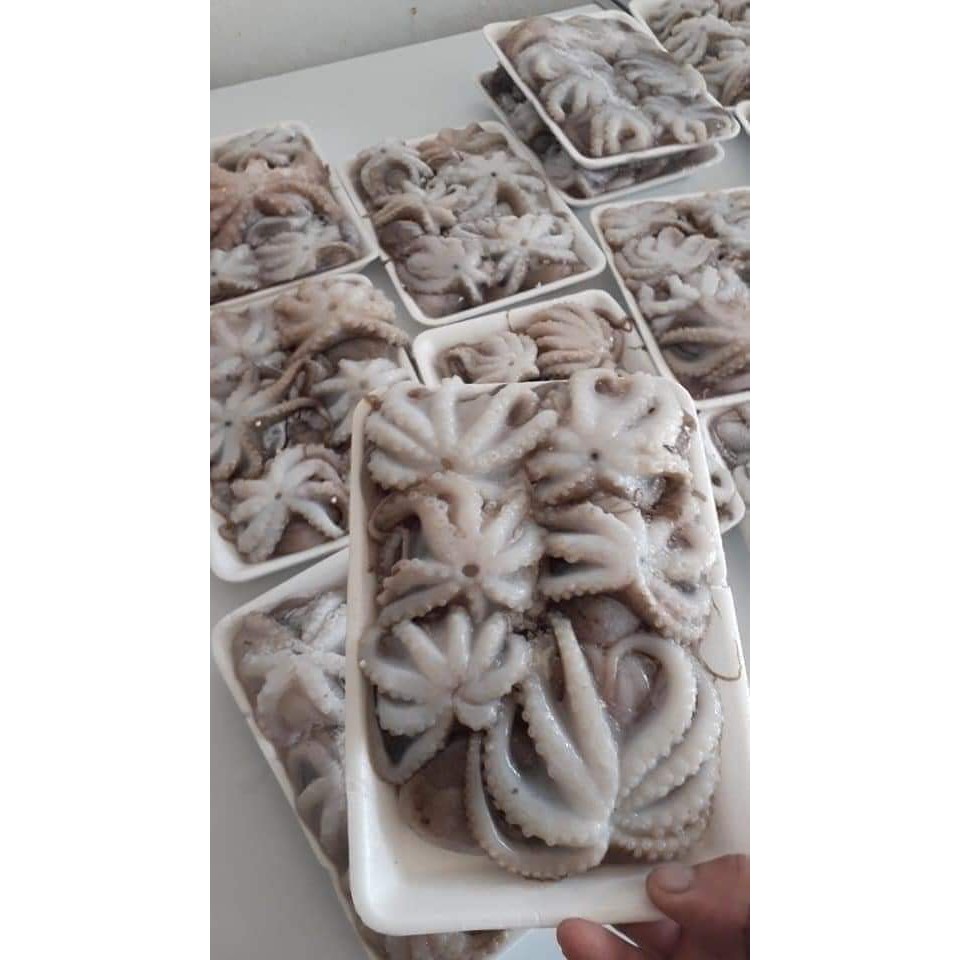 Bạch tuộc mini giòn ngon khay 500gr