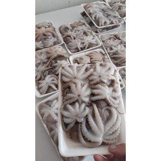 bạch tuộc mini giòn ngon khay 500gr