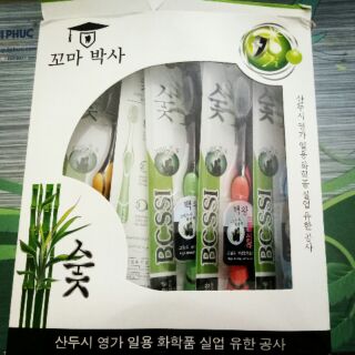 Combo 10 chiếc bàn chải than tre