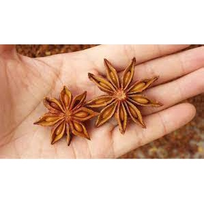 (ảnh thật ) hoa hồi cao cấp 1 kí trang trí thơm phòng nấu phở_trathaomocsi