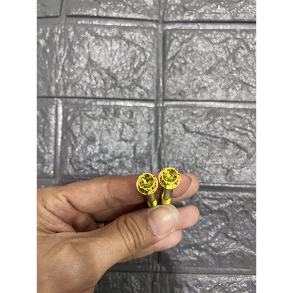 Óc Titan Gr5 Đầu Salaya 6li65 Gắn Lốc Nồi