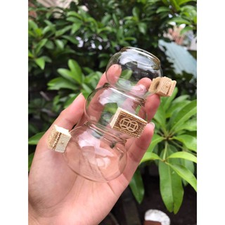 cóng thuỷ tinh mào