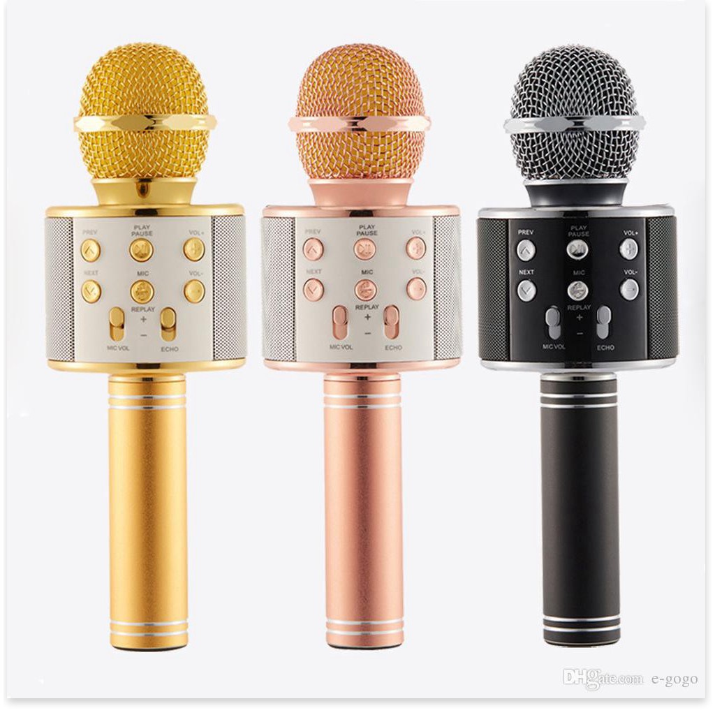 Micro Karaoke Kiêm Loa BLUETOOTH WS858